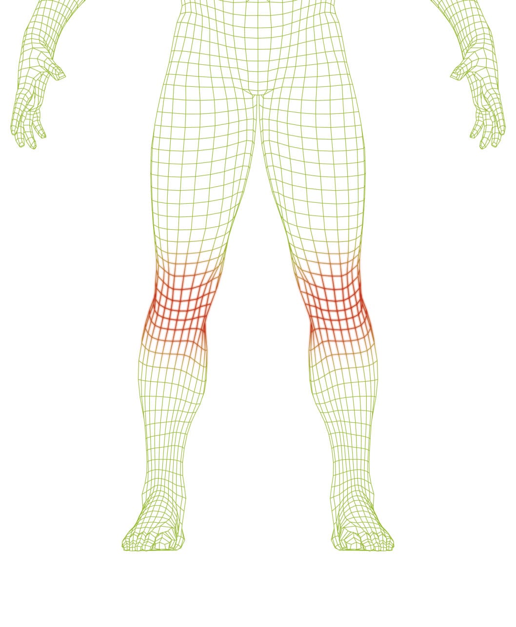 FIT WEAR Polvi - Image 2